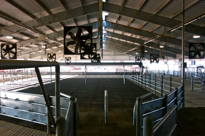 project photo